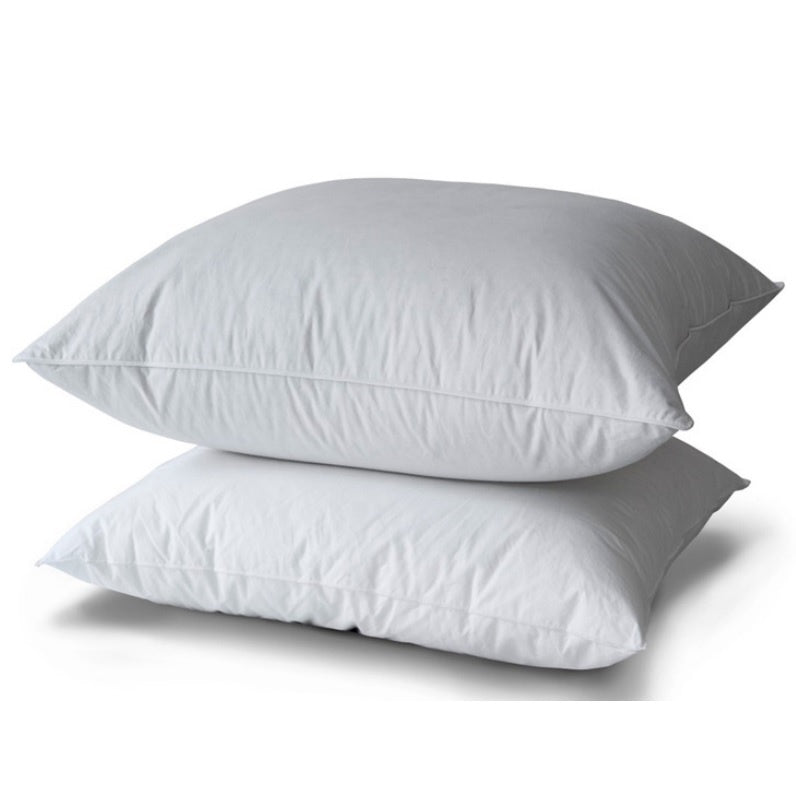 Oreiller 10% Duvet Canard Bourdon Blanc