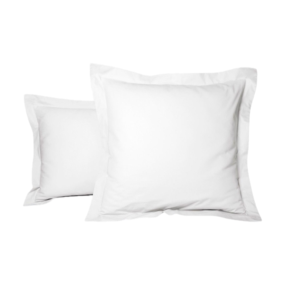#Couleur_BLANC