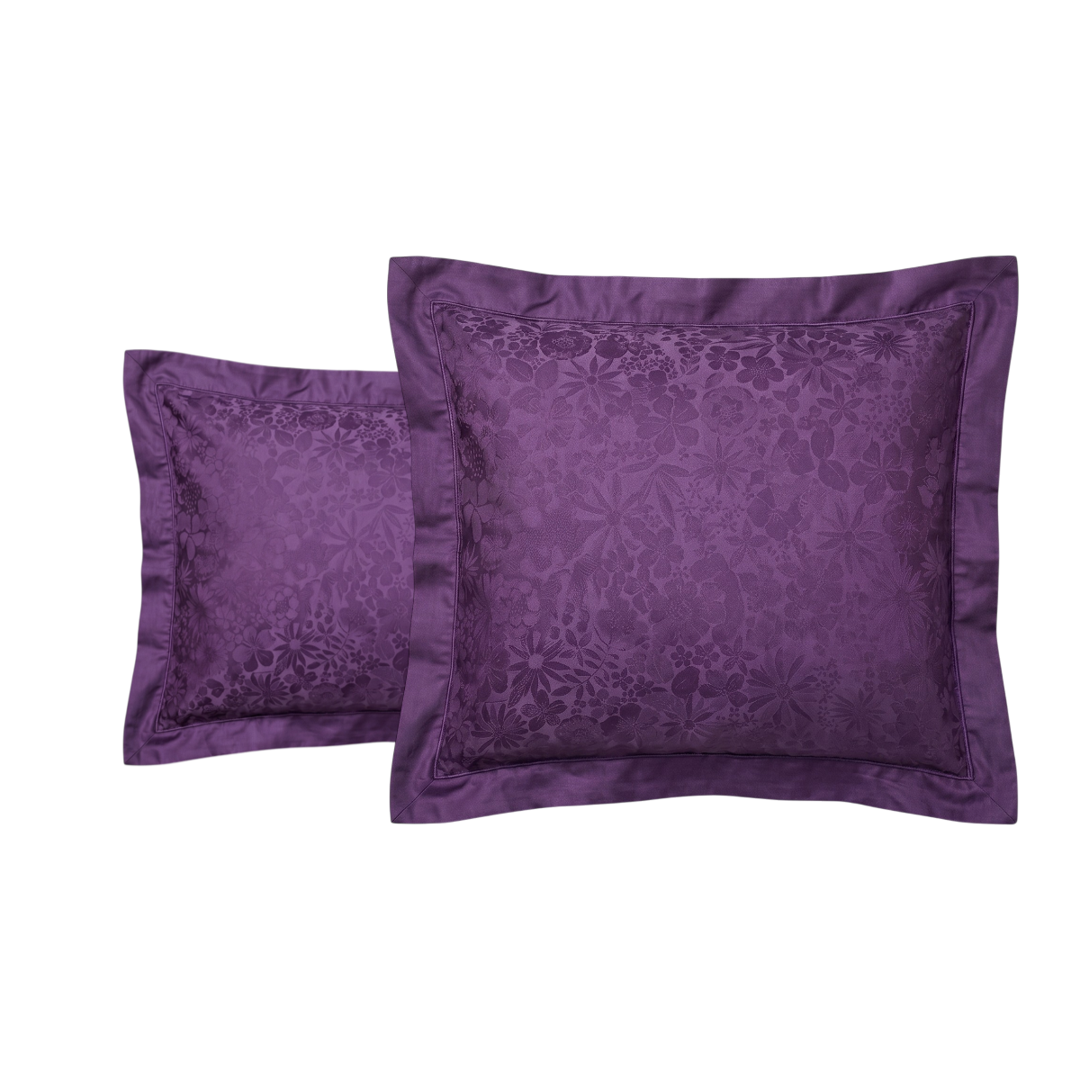#Couleur_VIOLET